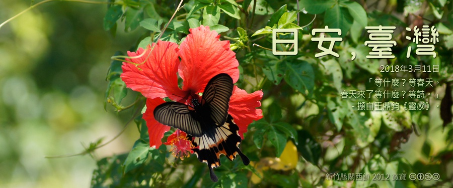 365 日安，臺灣之2018年月11日